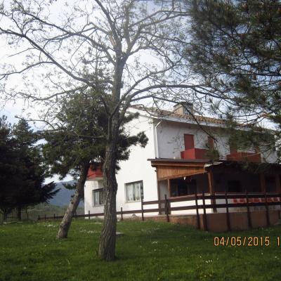 Montefanum 3